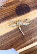 IMG_4357.jpeg